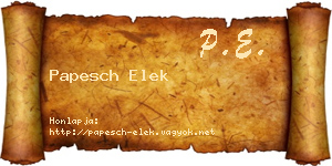 Papesch Elek névjegykártya